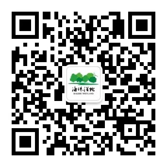 海珠湿地（haizhuwetland）